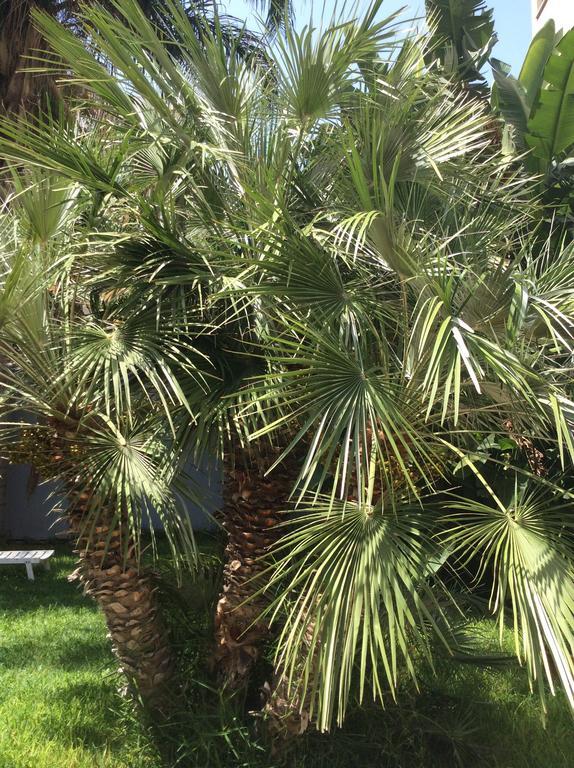 Ucciardhome Hotel Palermo Exterior foto